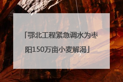 鄂北工程紧急调水为枣阳150万亩小麦解渴